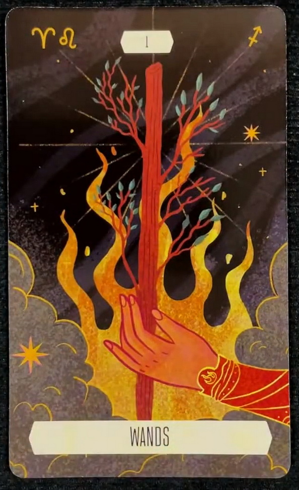 Zodiac Tarot (Cecilia Lattari)