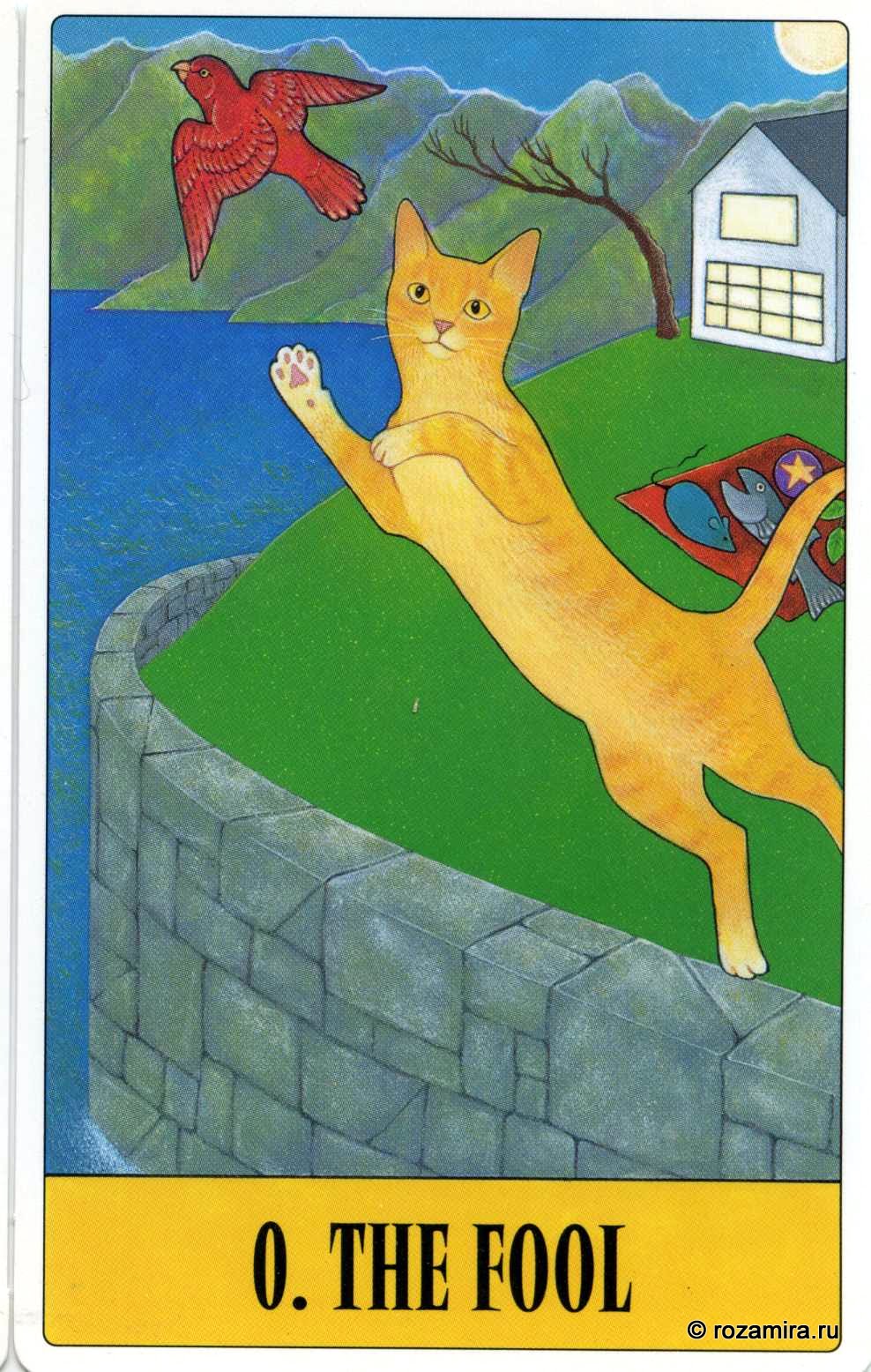 Tarot for Cats