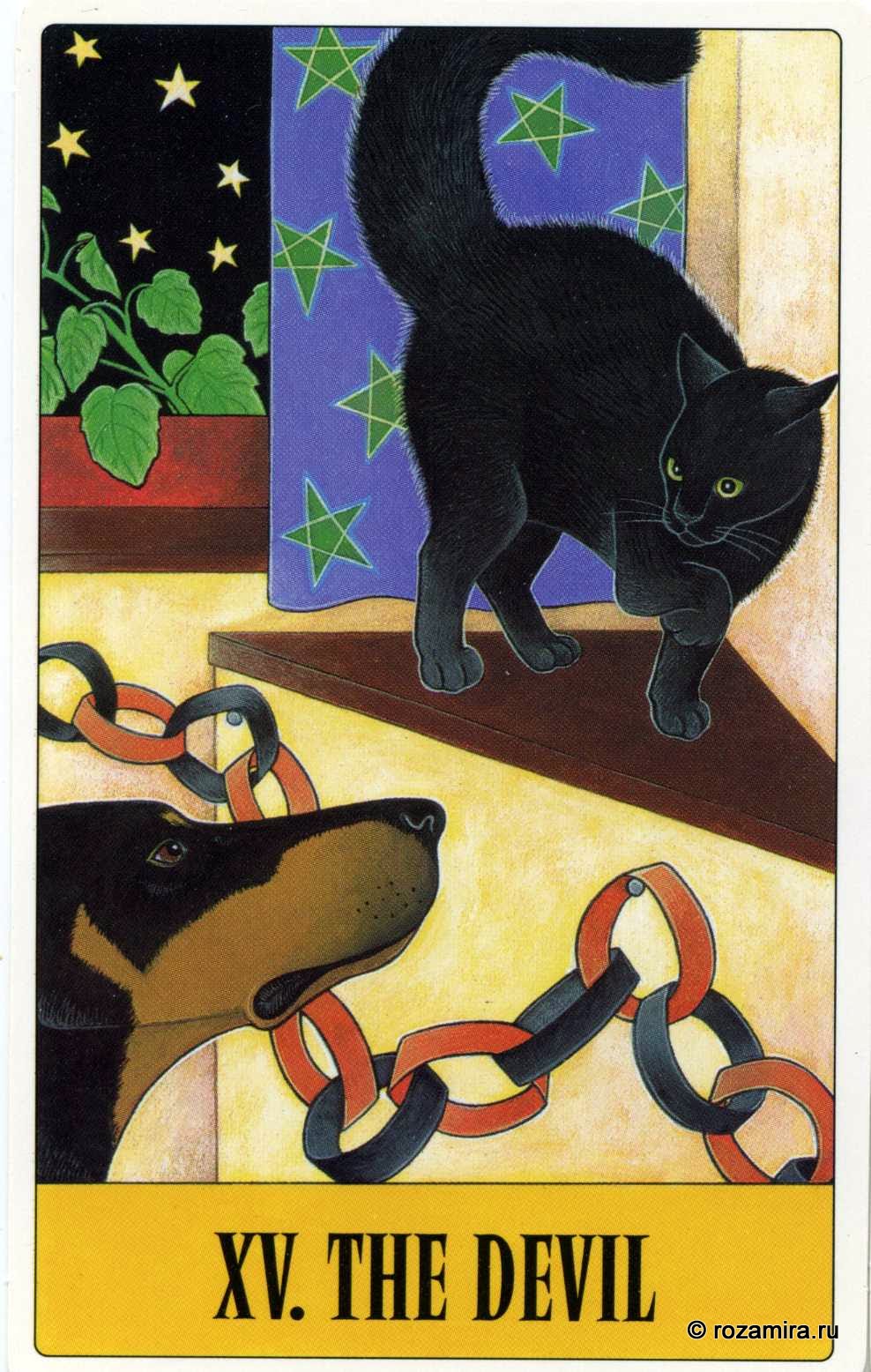 Tarot for Cats