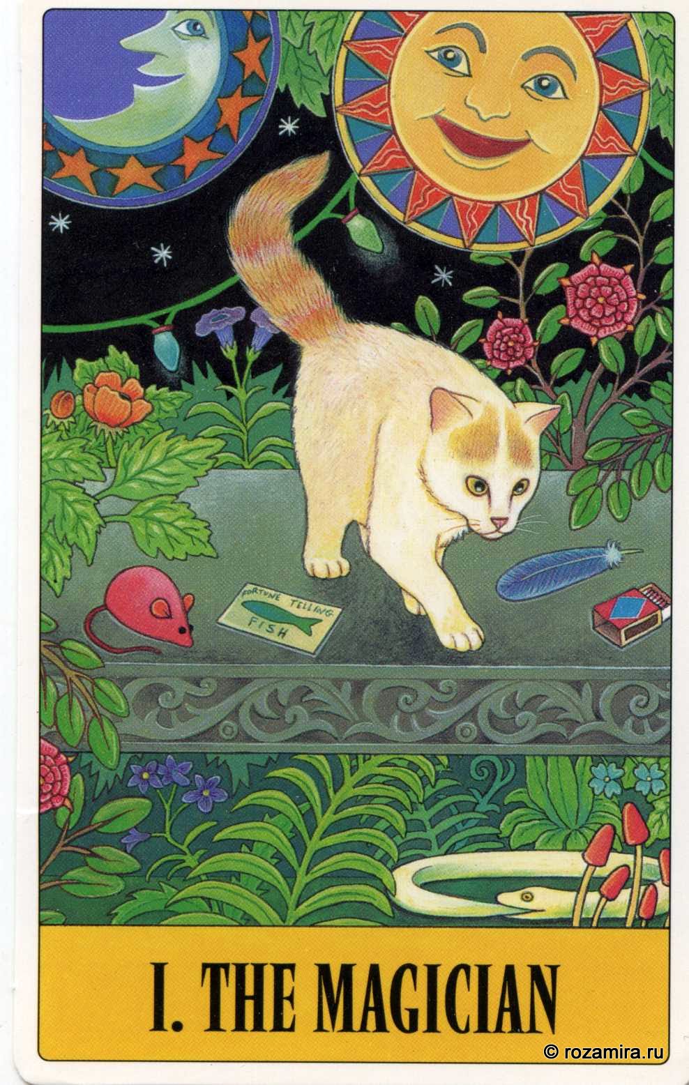 Tarot for Cats