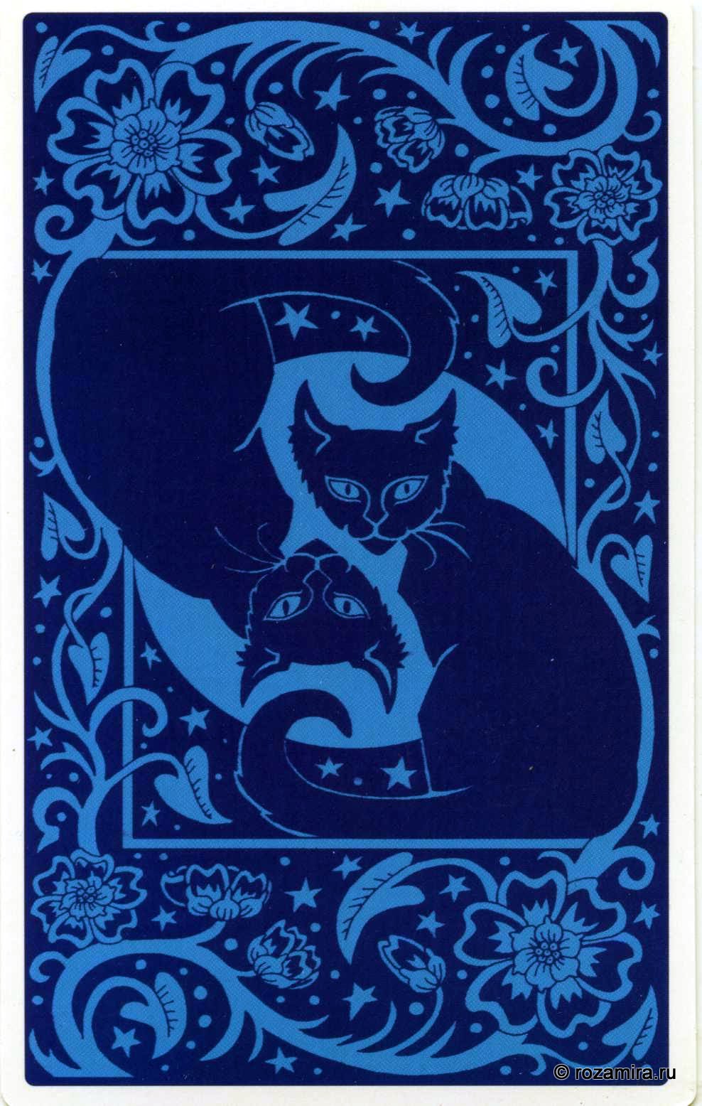 Tarot for Cats