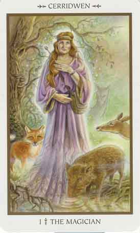 Animals Divine Tarot