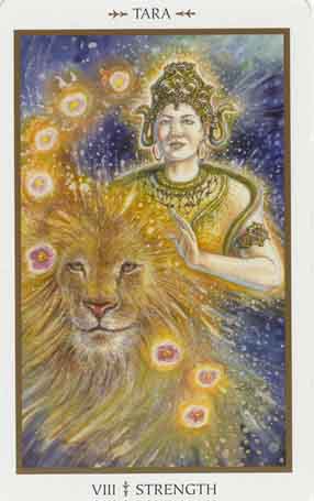 Animals Divine Tarot