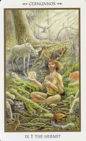 Animals Divine Tarot