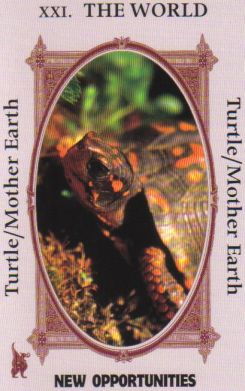 Animal Wise Tarot