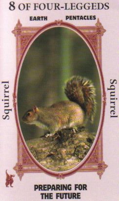 Animal Wise Tarot