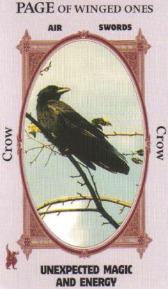 Animal Wise Tarot