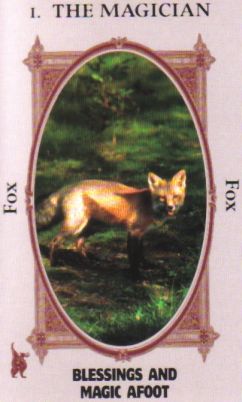 Animal Wise Tarot