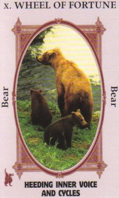 Animal Wise Tarot