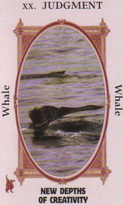 Animal Wise Tarot