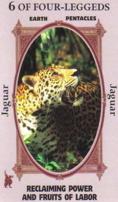 Animal Wise Tarot