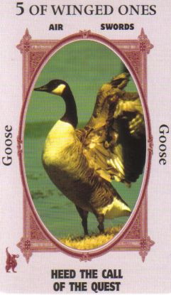 Animal Wise Tarot