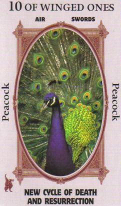 Animal Wise Tarot