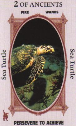 Animal Wise Tarot