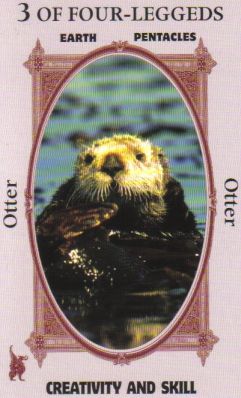 Animal Wise Tarot