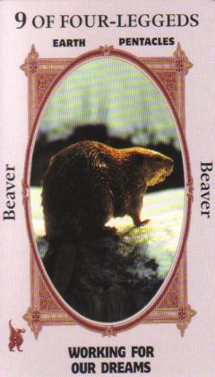 Animal Wise Tarot