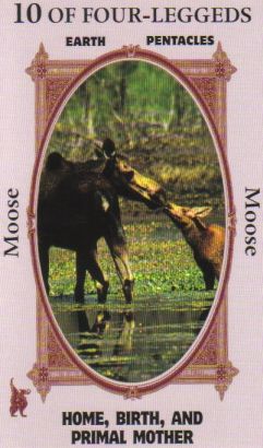 Animal Wise Tarot