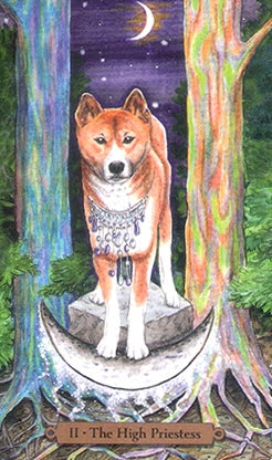 Magical Dogs Tarot - Таро Волшебных Собак