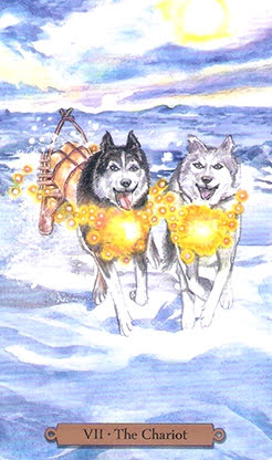 Magical Dogs Tarot - Таро Волшебных Собак