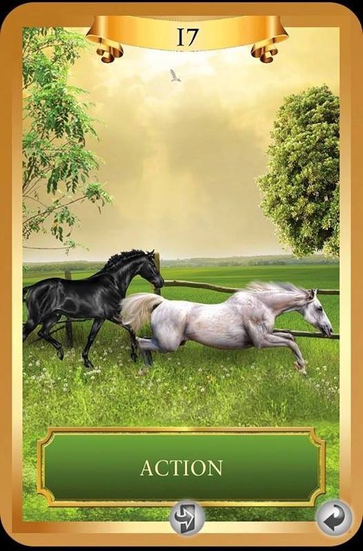 Energy Oracle Cards by Sandra Anne Taylor