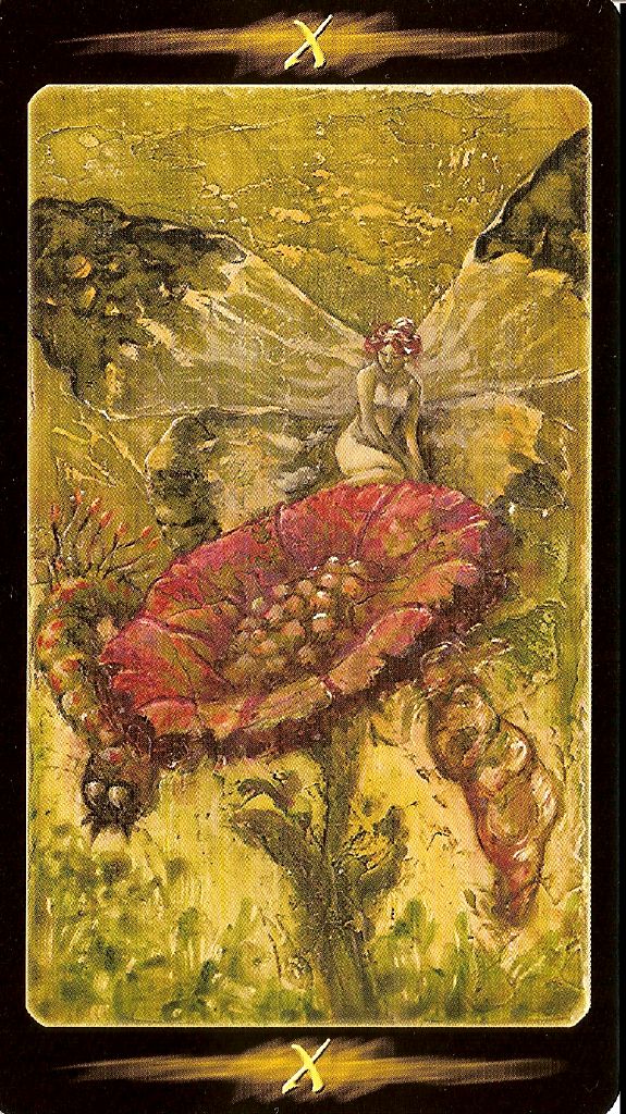 Tarot of the Secret Forest