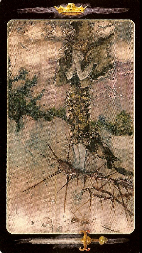 Tarot of the Secret Forest