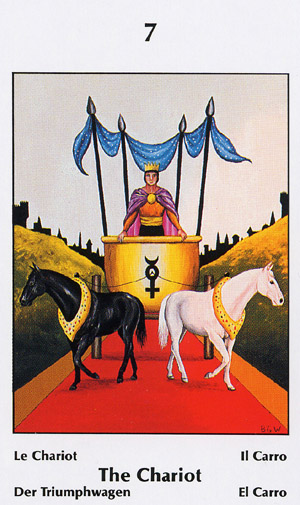 Barbara Walker Tarot