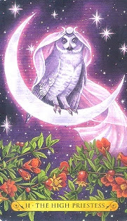 Tarot of the Owls