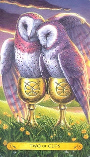 Tarot of the Owls