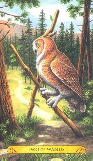 Tarot of the Owls