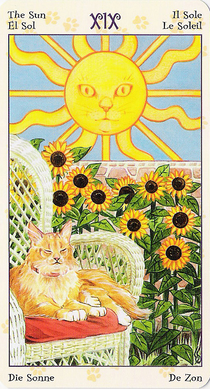 Tarot of Pagan Cats