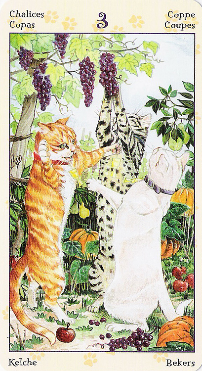 Tarot of Pagan Cats