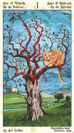 Tarot of Pagan Cats