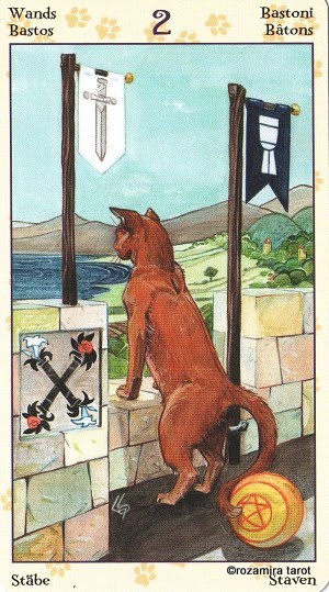 Tarot of Pagan Cats