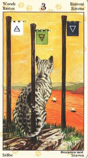 Tarot of Pagan Cats