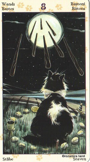 Tarot of Pagan Cats