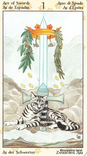 Tarot of Pagan Cats