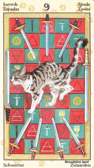 Tarot of Pagan Cats