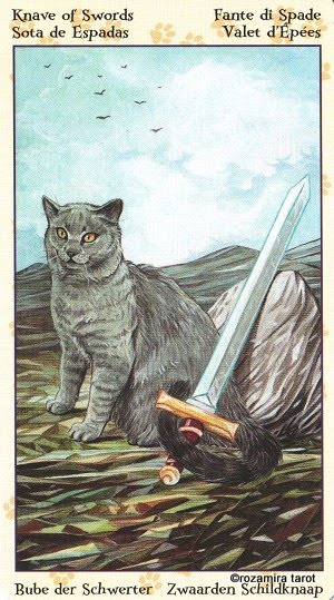 Tarot of Pagan Cats