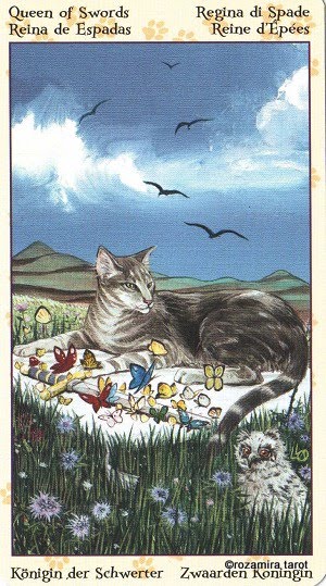 Tarot of Pagan Cats