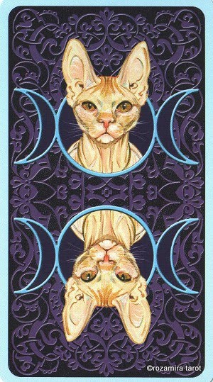 Tarot of Pagan Cats