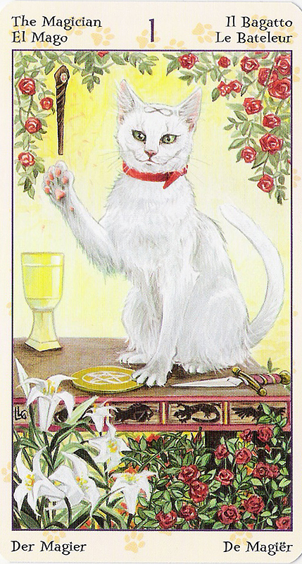 Tarot of Pagan Cats