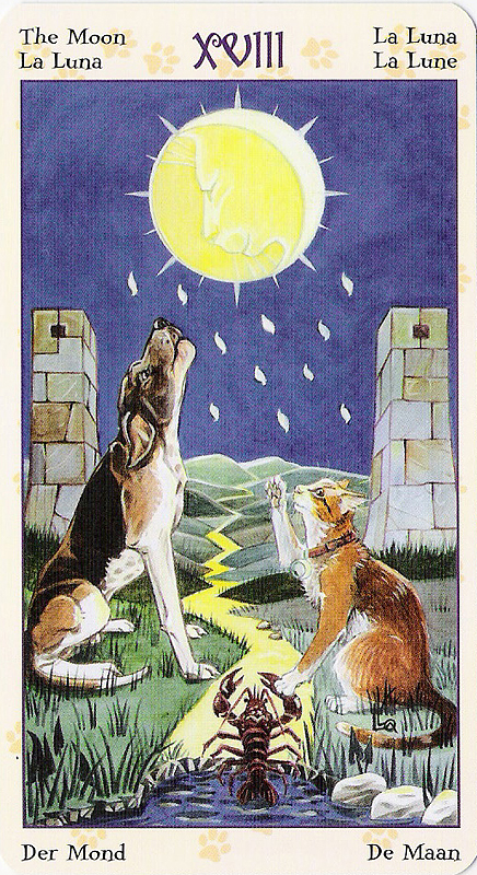 Tarot of Pagan Cats