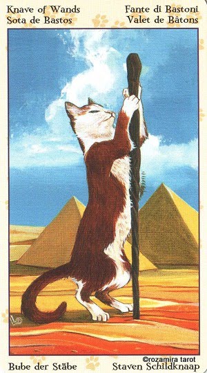 Tarot of Pagan Cats