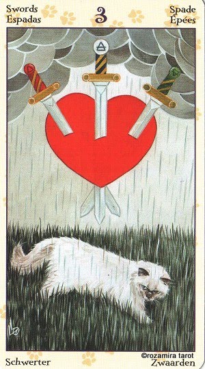 Tarot of Pagan Cats