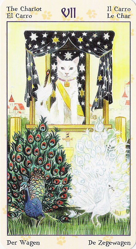 Tarot of Pagan Cats