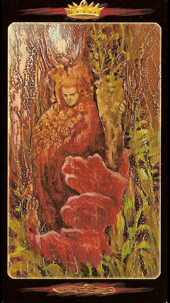 Tarot of the Secret Forest