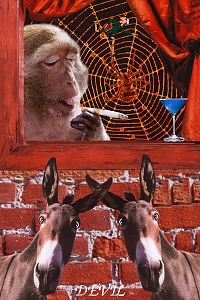 Animal Tarot