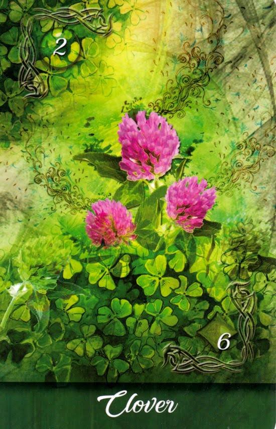 Mirror Truth Lenormand Cards