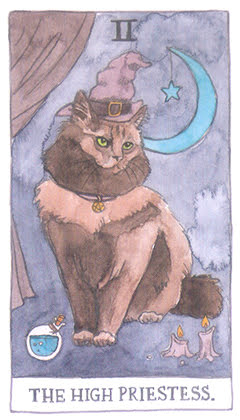 Cat Tarot (Megan Lynn Kott)